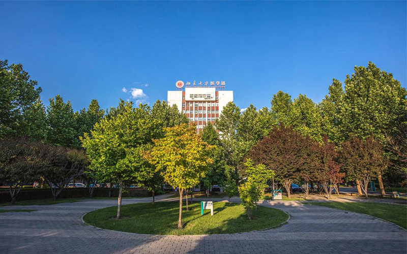 北京大学医学部2021年在福建省<a href=https://www.9951.cc/zhuanye/ target=_blank class=infotextkey>招生专业</a>及各专业<a href=https://www.9951.cc/zixun/jihua/ target=_blank class=infotextkey>招生计划</a>人数