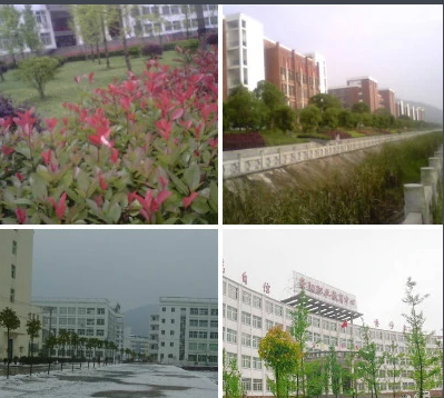 湖北省崇阳职业技术学校概貌