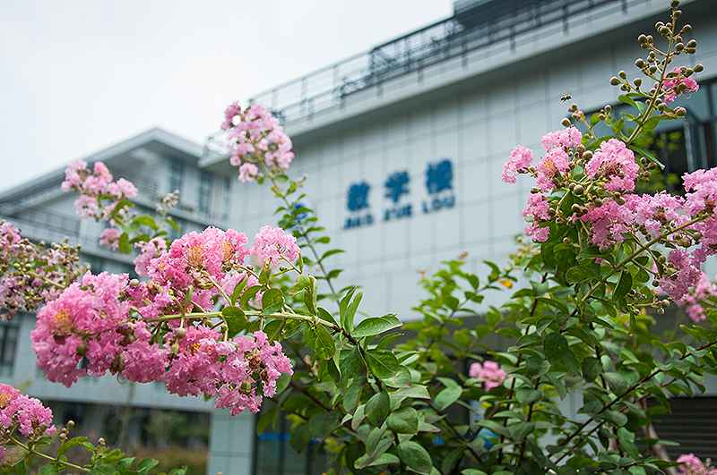 武汉第一职教中心教学楼