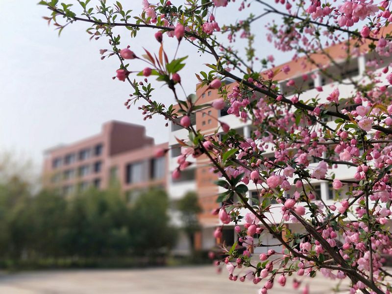 湖北现代农业技师学院一角