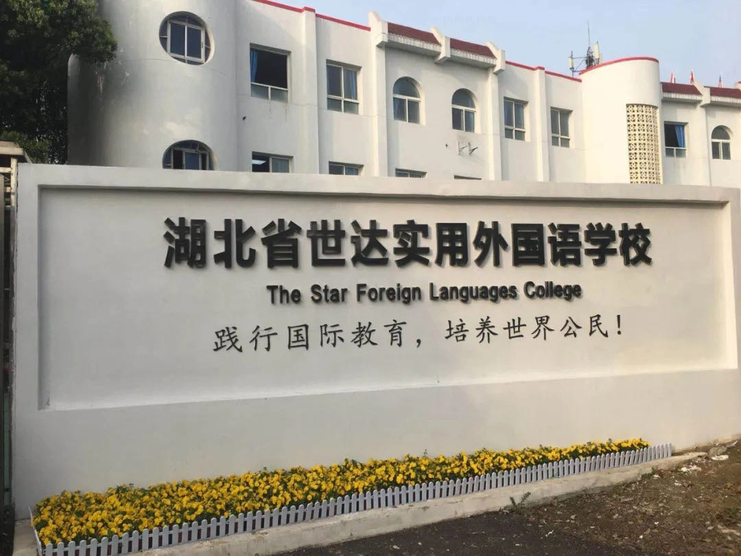湖北省世达实用外国语学校校园环境概貌