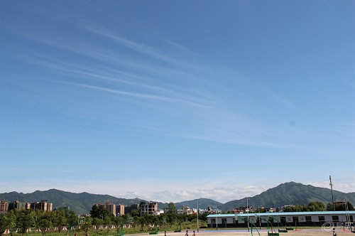 枝江市白洋镇职业高中