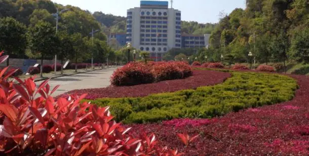  黄石强国理工学校